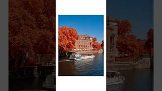 Taking color infrared photos on the Sony F717 #photography #infrared #photo #fypシ #viral #fyp