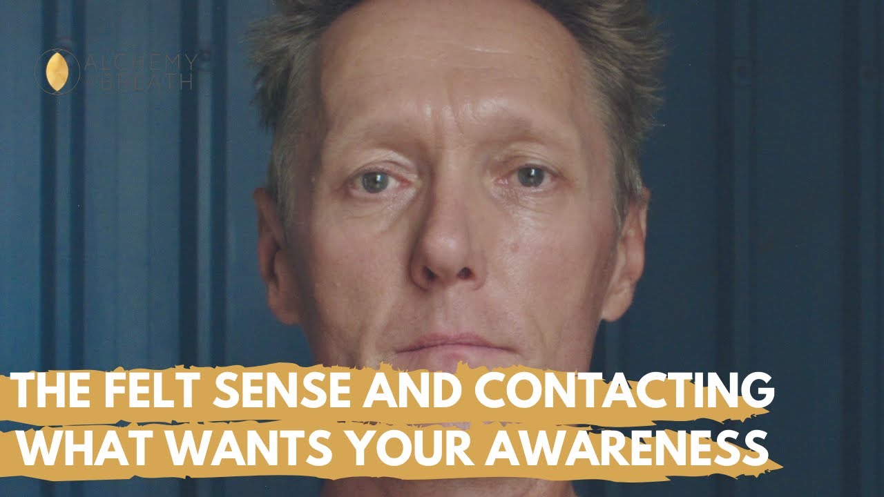 The Felt Sense and Contacting What Wants Your Awareness - YouTube