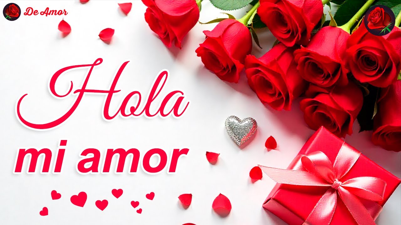 🌷 Hola Mi Amor, Te Amo Mucho 💝 Este Bonito Mensaje de Amor Es Para Ti ...
