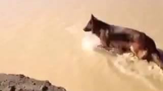 Yosemite Vom Lundborg Land Construction Site