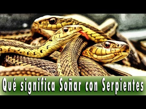 Video: Interpretación De Los Sueños: Por Qué Está Soñando La Serpiente