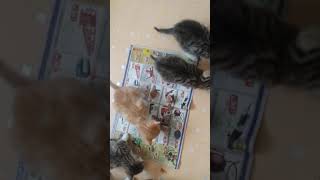 20150822 141403