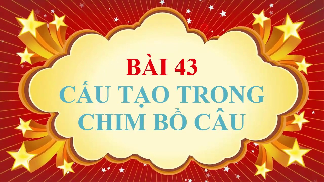 Sinh học 7 bài 43 | Sinh học lớp 7 – Bài 43 – Cấu tạo trong của chim bồ câu