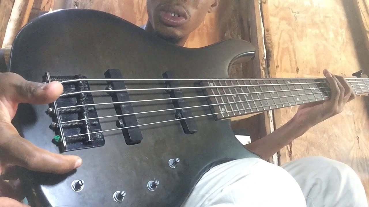 Bajo palmer 5 cuerdas 🥇 | Posot Class