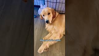 Can I Have Some Privacy Please?