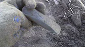 Digger UA