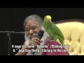 Amazon Parrot Hanuma talks instantly with Swamiji in front of thousands