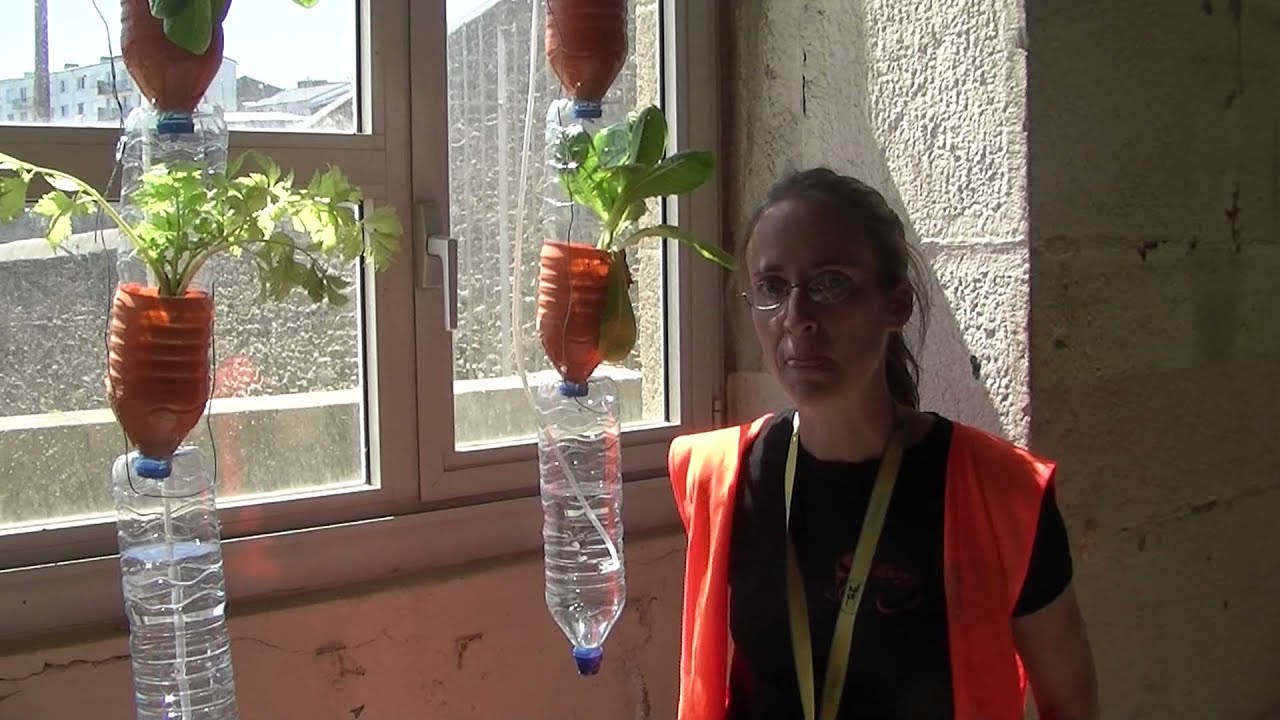 Produire sa nourriture en appartement aquaponie.biz 2017 01 08