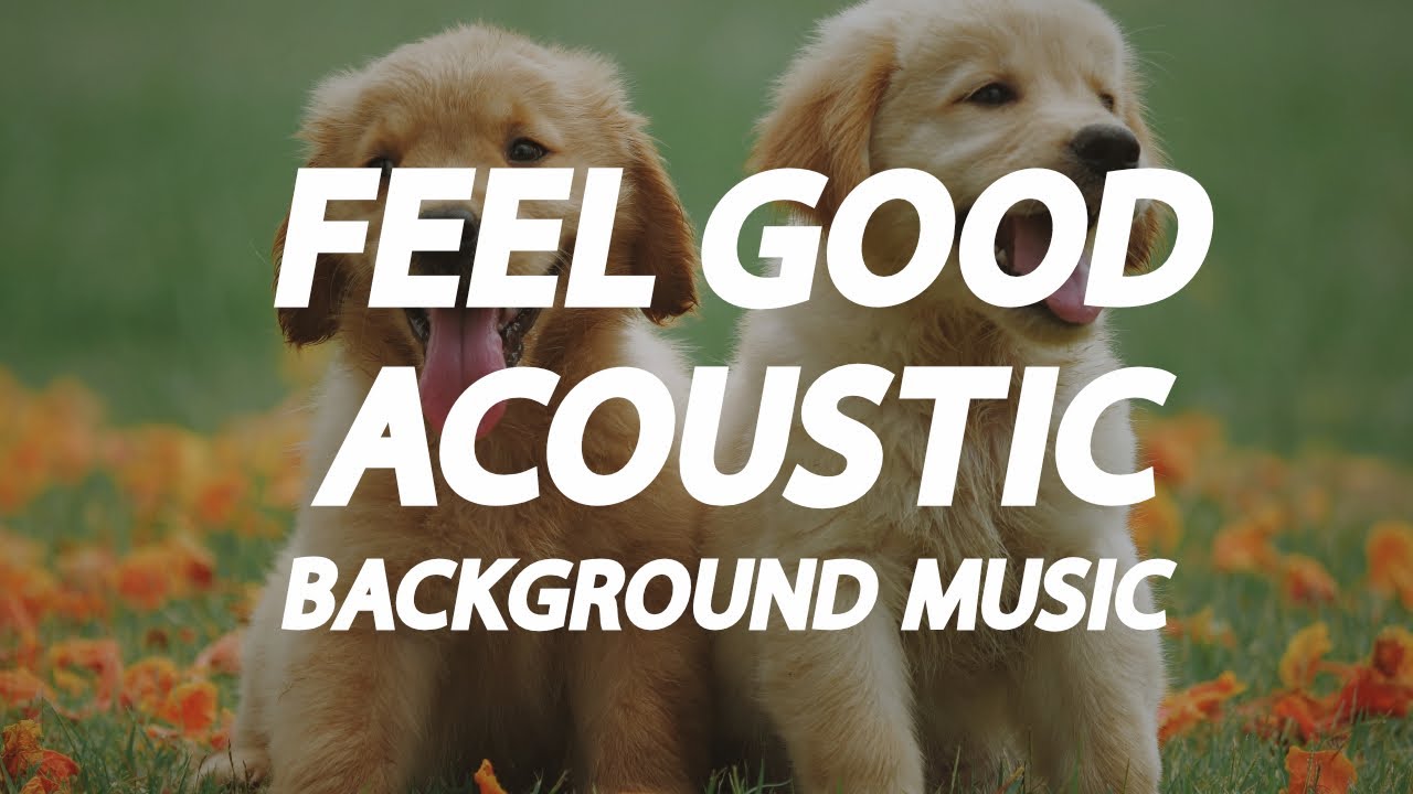 Feel Good Acoustic Music for Your Media Projects