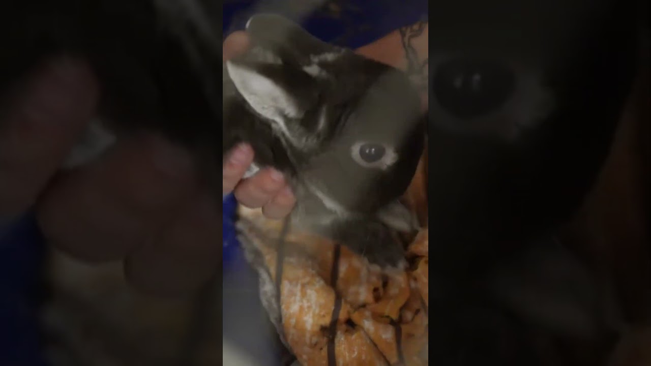 Jay dal pusu Ňufíkovi 😘