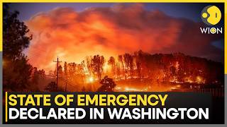 US Wildfires: 5.1 Million Acres Burned Across US, No Deaths Or Injuries Confirmed So Far | WION News