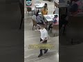 موظف فندق صيني يدعو عمال نظافة للدخول إلى الفندق للاحتماء من المطر موظف فندق صيني يدعو عمال نظافة للدخول إلى الفندق للاحتماء من المطر