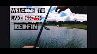 Welcome to lake Redfin! I mean Oberon