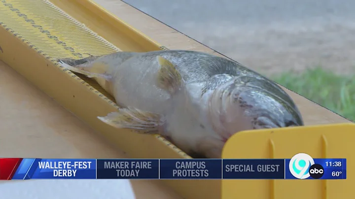 Oneida Lake Walleye Festival Derby this weekend