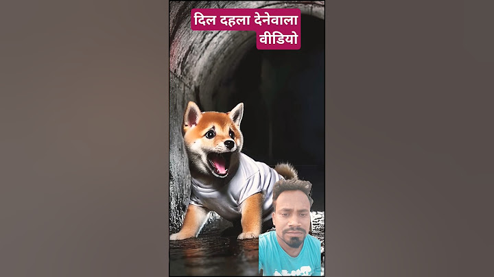 Cute dog flushed Phone in toilet... 📱🚽 #dog # funny #cartoon #shortvideo #viralvideo #facts