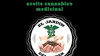 taller de extracción de  aceite cannabico