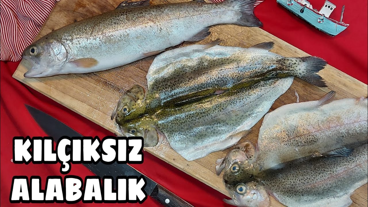 Alabalik Nasil Temizlenir How To Clean Trout Fish Kilciksiz Fileto Ve Kelebek Cikarma Videosu Youtube