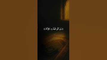 اكتب شيء تؤجر عليه 😴🩶 | قران كريم | فارس عباد