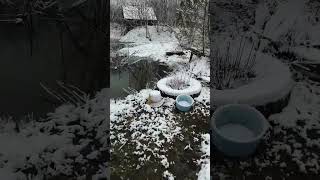 Было Сухо, Стало Бело И Сыро