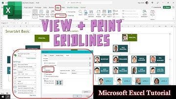 How to View and Print Gridlines in Microsoft Excel Tutorial - Lesson 5