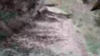 Test 3 Buck Bar Trail