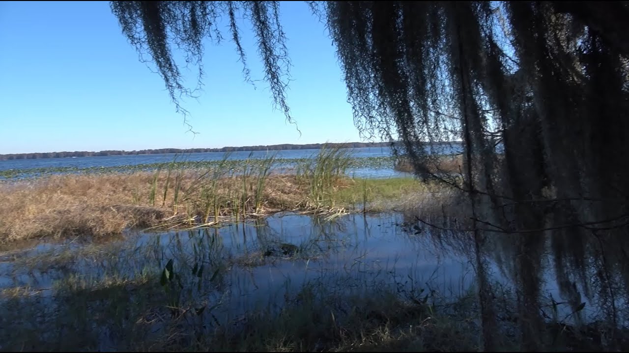 Adventurous Kids: Lake Wales Ridge State Forest