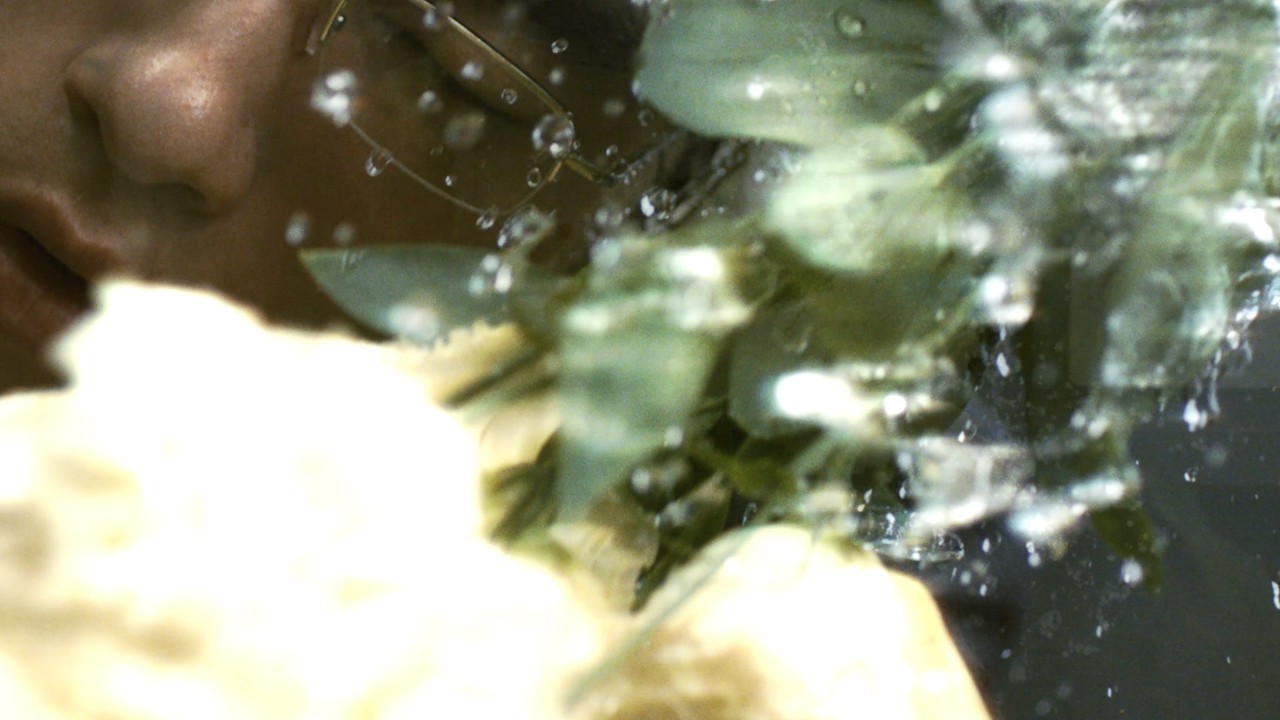 Molecular Gastronomyの公式MVサムネイル
