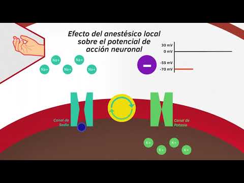 Video: ¿Dónde funcionan los anestésicos locales?