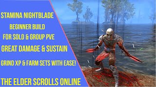 ESO Stamina Nightblade Beginner PVE Build