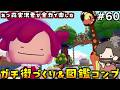 【ぽこあポケモン】ハクリューすみごこち改善して花壇を作るぞ!#60【ぽこポケ】