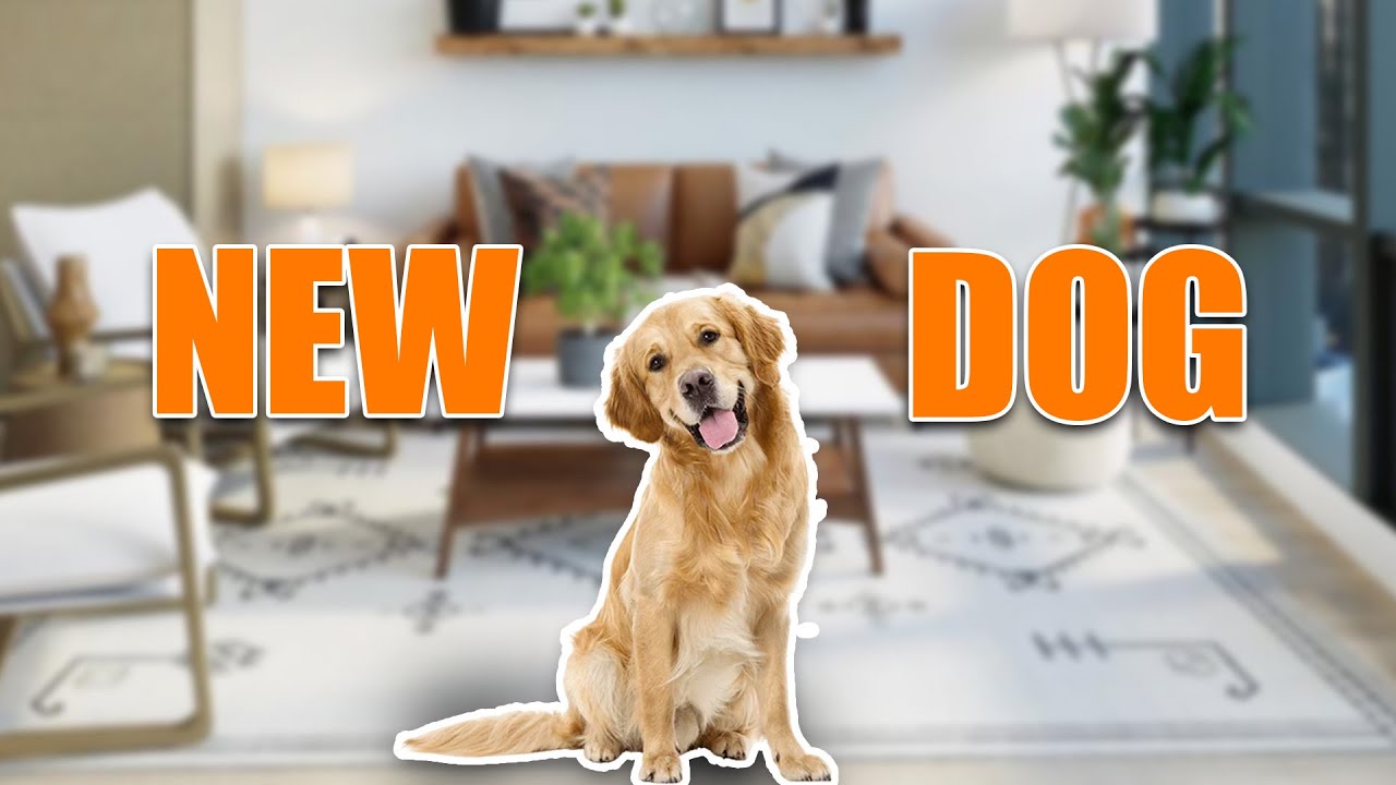 We Got a New Puppy! | Thumbnail Showcase