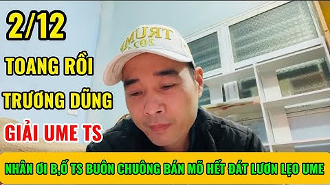 Đinh Hoàng Nhân Ơi B,ố Ts Buôn Chuông Bán Mõ Hết Đát Lươn Lẹo Bám Vào Trương Dũng T🍏NHI ĐT VLOG 2