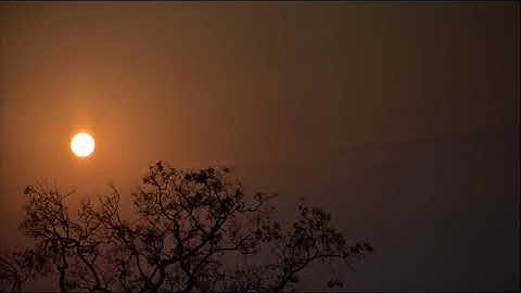 ما أجملها تلاوه عذبه تُرقق القلوب | يوسف الجرادي