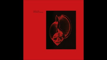 Anthony Linell - In The Place Of Harmony [NE109]