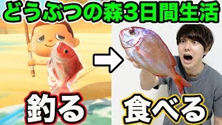 3日間「あつまれ どうぶつの森」で出た食材だけで生活!