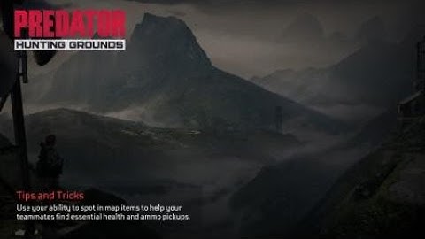 When you load into Predator: Hunting Grounds with no weapon