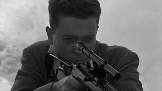 FILM OF THE DAY: The Sniper (1952)