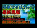 NHKマイルカップ2026　最終見解