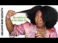 SEA MOSS AND ALOE VERA OIL FOR EXTREME HAIR GROWTH