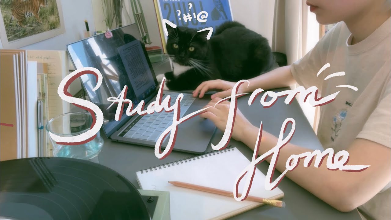 5 KÊNH YOUTUBE TRUYỀN CẢM HỨNG HỌC TẬP VÀ NĂNG LƯỢNG TÍCH CỰC