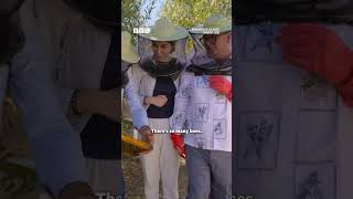 Bee-hold Alan Carr, the beekeeper 🐝 - BBC