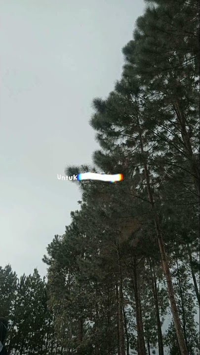 STORY WA 30 DETIK || JIKA TERINGAT TENTANG DIKAU VIRALL.