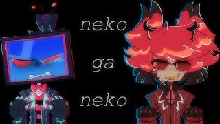 neko ga neko // radiosilence