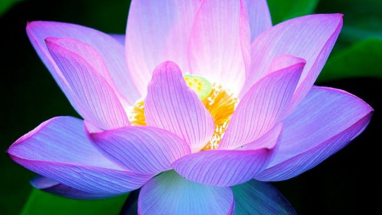 Приговор по крупнейшему делу о нарушении закона RICO в Америке: даже у дьявола есть свои стандарты.