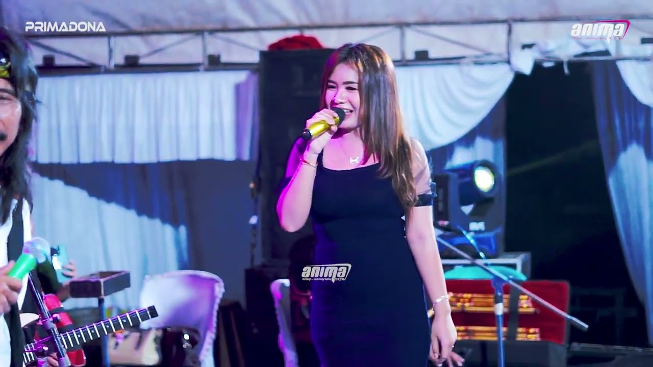 PRIMADONA - PANTUN JANDA - ANA REGINA - WEDDING AMAR \u0026 FANISA - TENGGULI