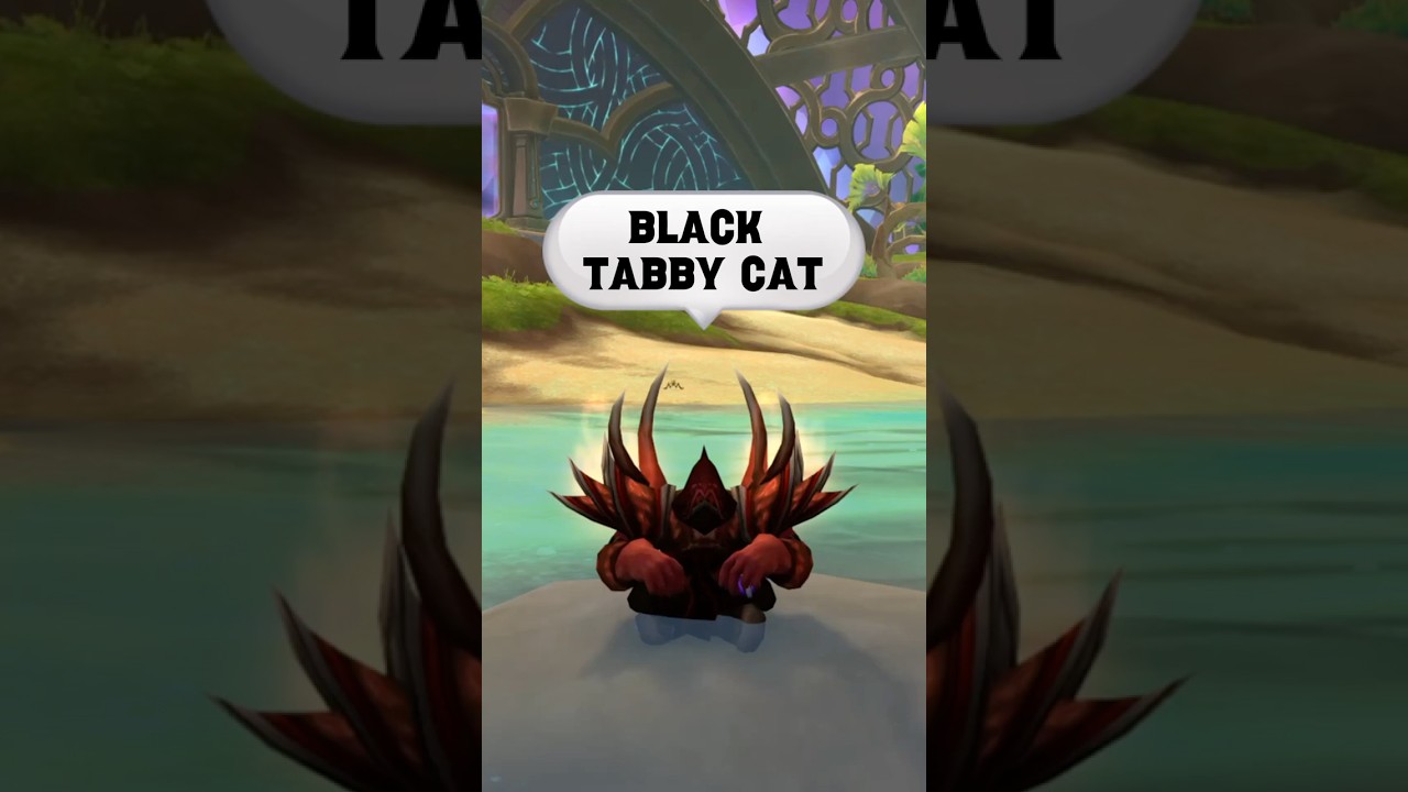 Черный полосатый кот: боевой питомец | Интересный факт WoW пятницы