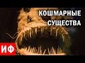 КОШМАРНЫЕ СУЩЕСТВА МОРСКИХ ГЛУБИН #ИФ