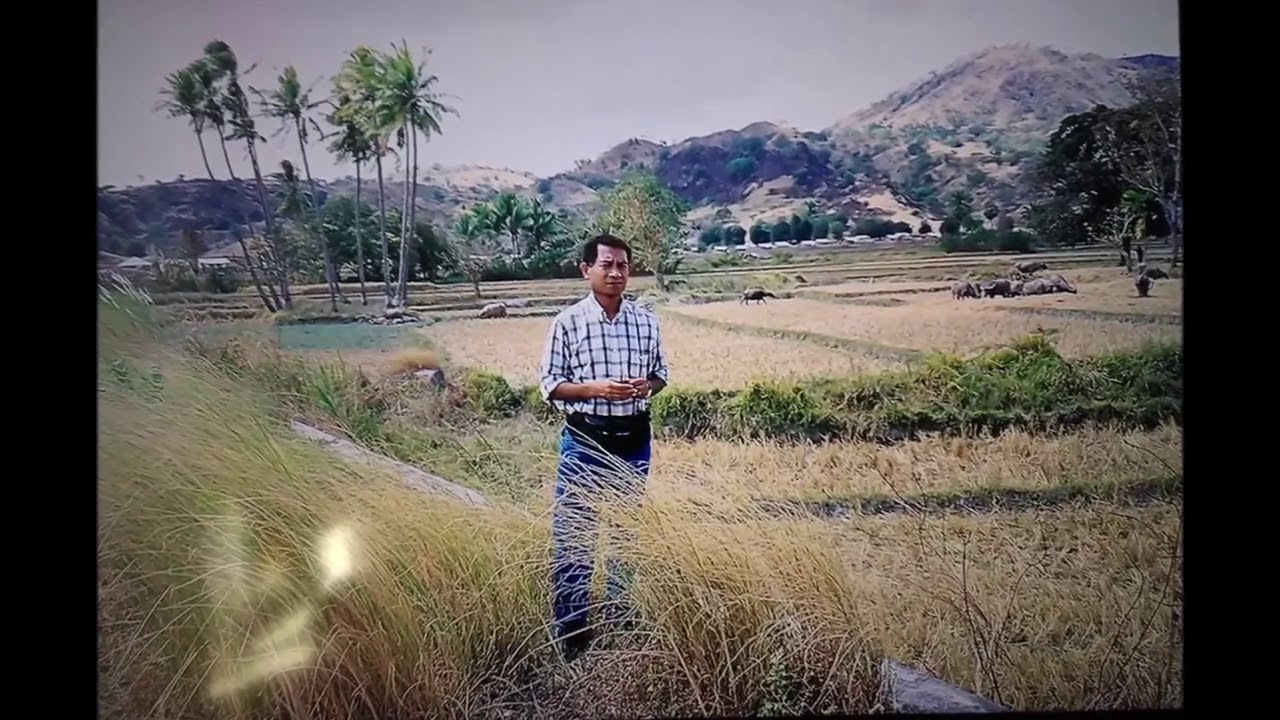 Mai Fali e - Timor Popular