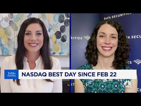 BofA's Jill Carey Hall: We continue to favor small caps for the long-term Episode cover