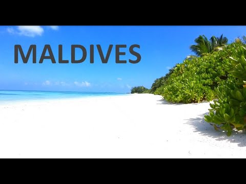 Maldives   Addu City Atoll   Hulhumeedhoo  Canareef   03 Fev 2020